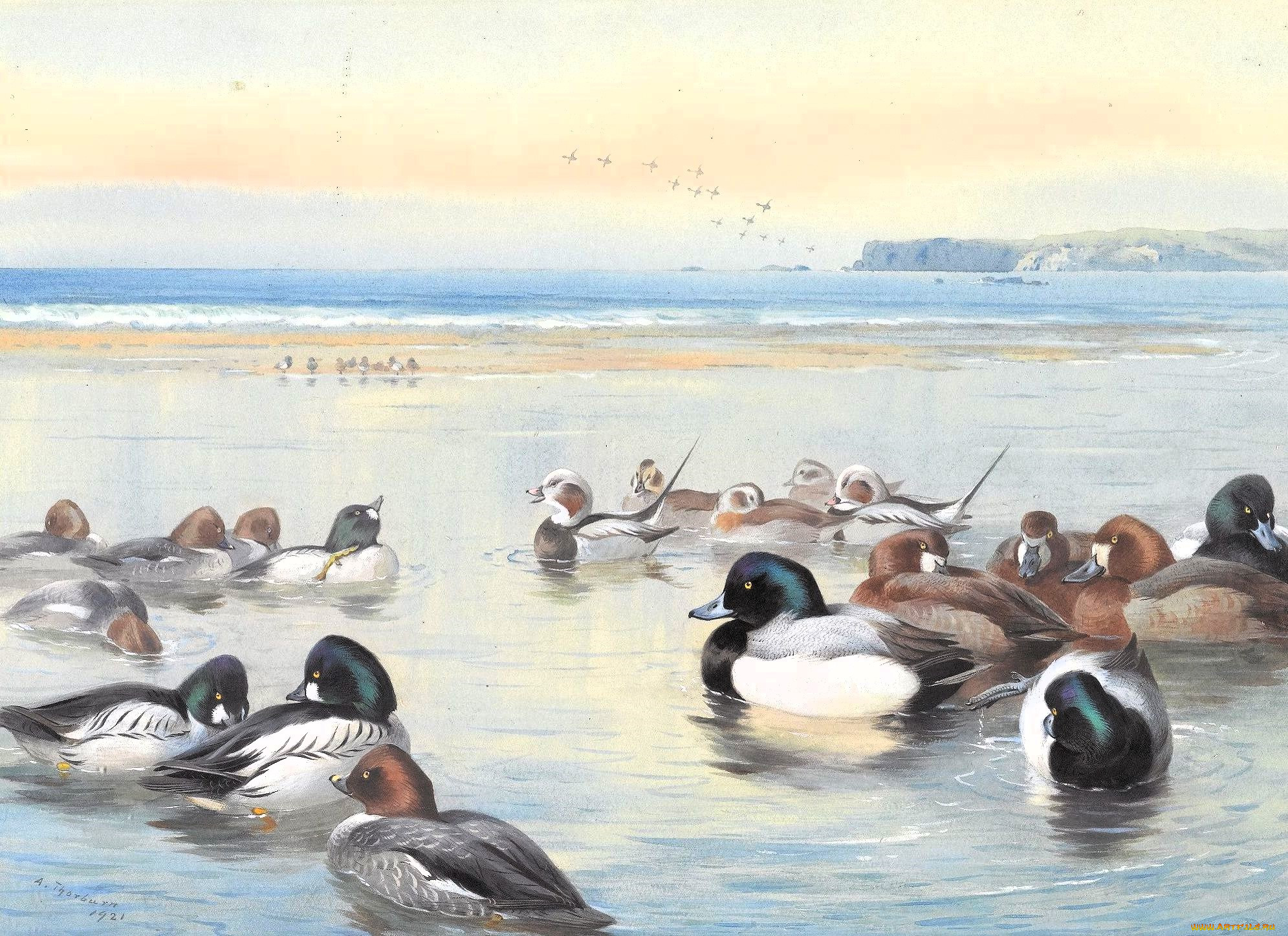 archibald thorburn, , , , 
